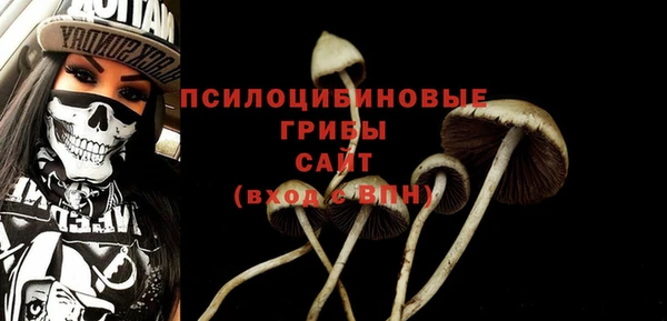 альфа пвп Гатчина