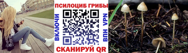 Галлюциногенные грибы ЛСД  Константиновск 